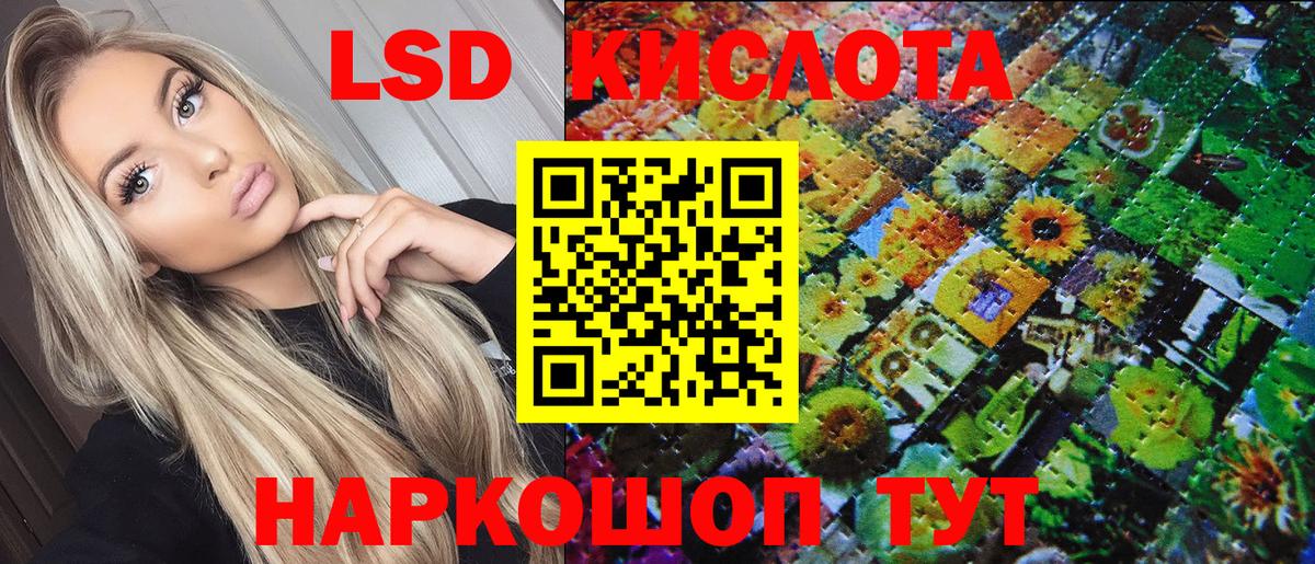 Наркотические марки 1,5мг  Наркотические марки 1,5мг  Вход с VPN  Каменск-Шахтинский 
