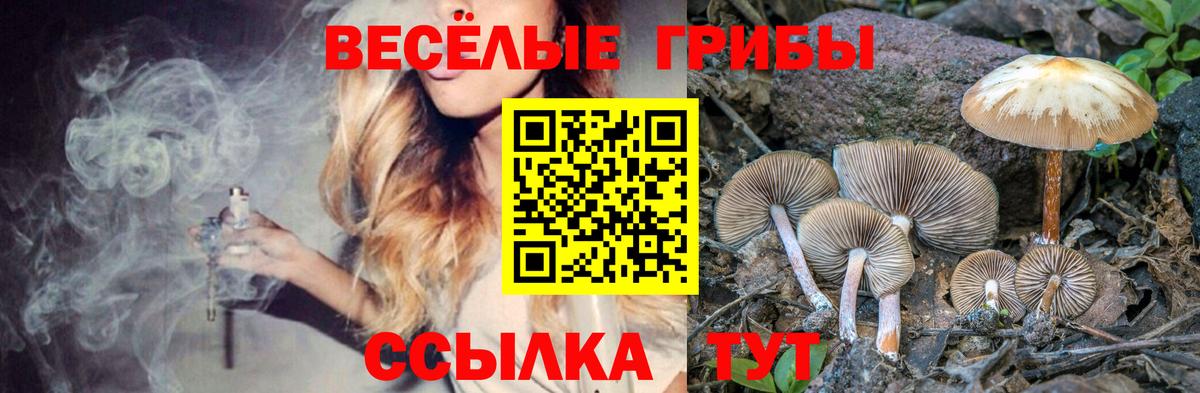 Галлюциногенные грибы ЛСД Каменск-Шахтинский
